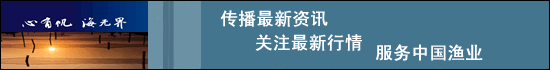 网站底部小广告1